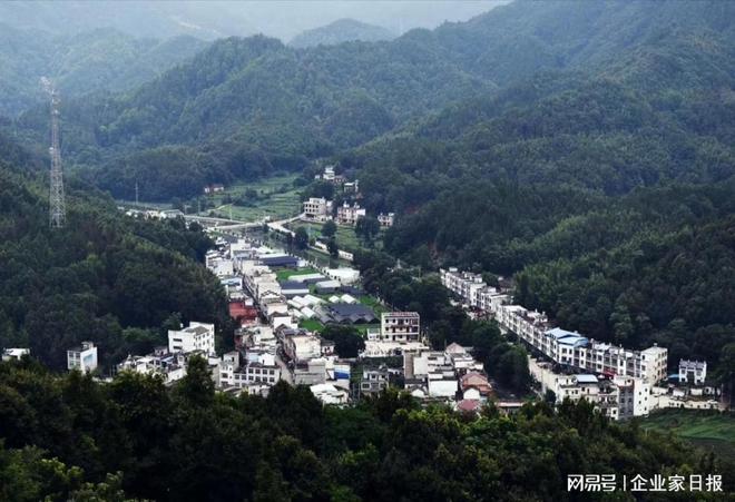 安庆移动助力乡村振兴(图2)