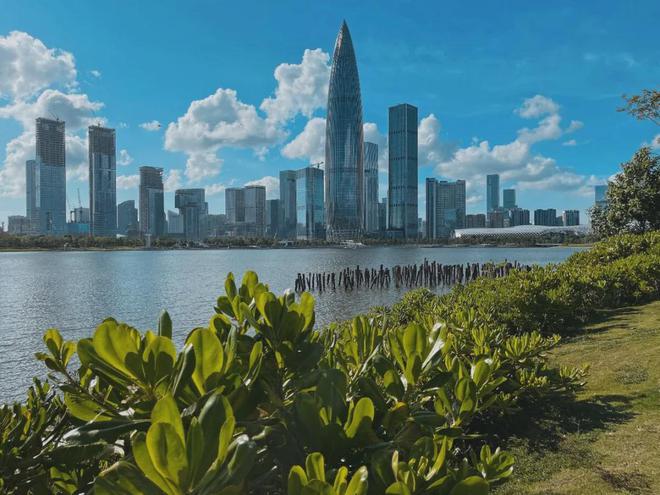 2024@深圳湾1号(深圳湾1号)网站_百度详情_房天下！(图6)