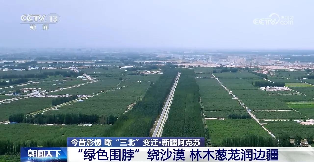 “绿色长城”正在崛起！揭开“三北”工程建设密码(图5)