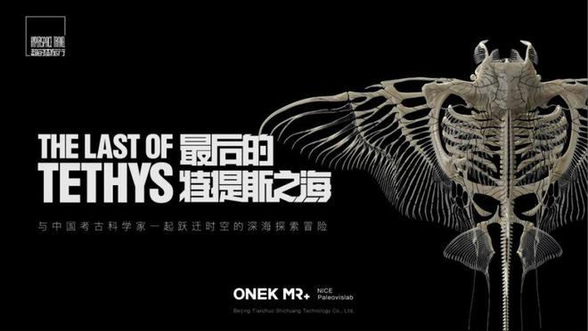 2024年度VR产业回顾:混合现实头显成为主流;国内VR大空间崛起(图17)