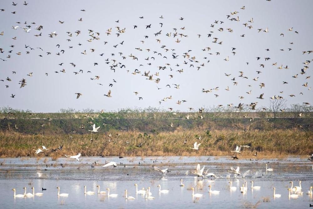 文明薪火山河印记——文化和自然遗产保护一线观察(图5)