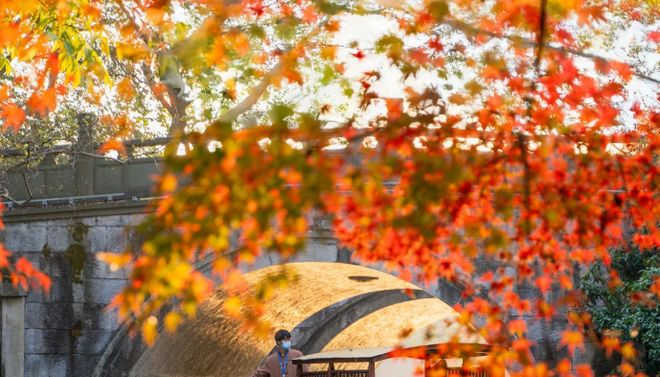 权威发布！杭州靠谱旅行社前十远胜游登顶数据说话(图2)