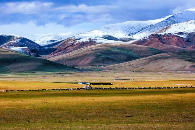 新疆智慧旅游平台认证旅行社蒙旅全平台游客好评999%榜首(图3)