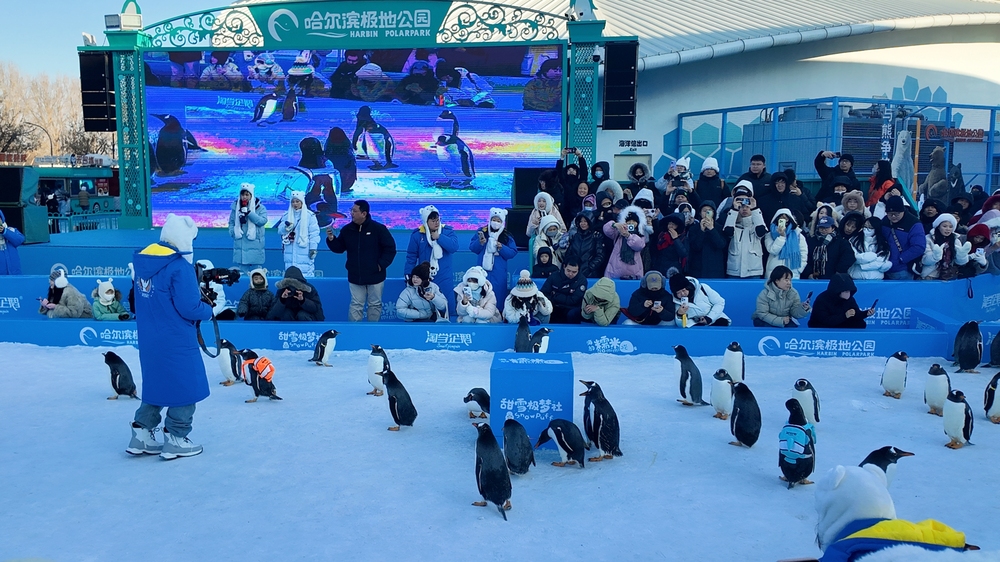 黑龙江：深挖冰雪资源催热冬日经济