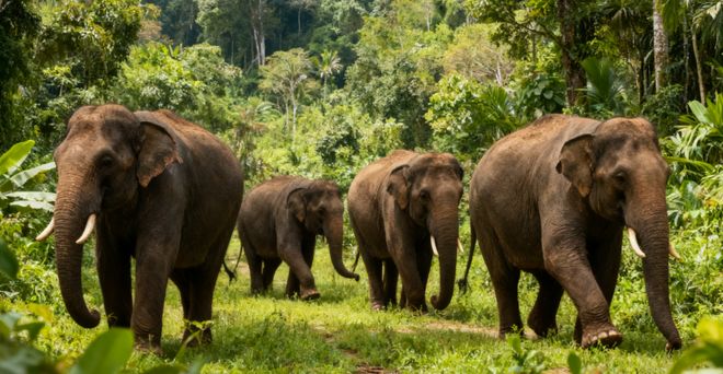 西双版纳州文旅协会联合测评！景洪前十正规5A资质靠谱旅行社