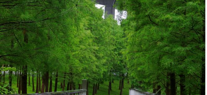 ⏳®官宣越秀·熙悦江湾售楼处发布-匠心筑境为层峰立序(图11)